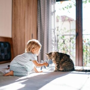Cómo Evitar Accidentes con Gatos y Niños con Mallas de Seguridad en Medellín. Atrappa Mallas