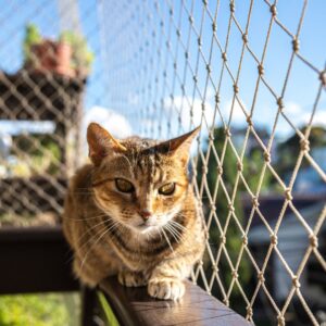 Mallas de Seguridad en Ventanas y Balcones en Medellín: 5 Beneficios