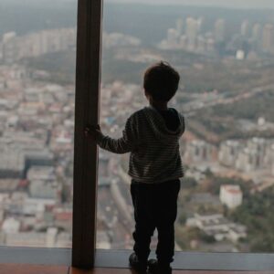 Ventanas Seguras en Medellín: Cómo Proteger a tus Mascotas y Niños con mallas de seguridad. Atrappa Mallas De Seguridad