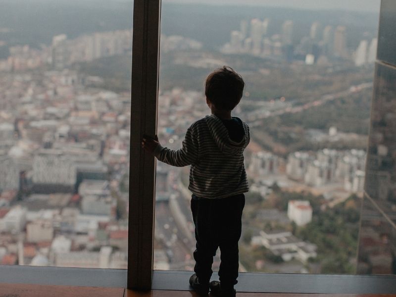 Ventanas Seguras en Medellín: Cómo Proteger a tus Mascotas y Niños con mallas de seguridad. Atrappa Mallas De Seguridad