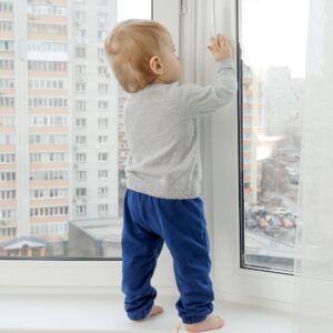 Ventanas Seguras en Medellín: Cómo Proteger a tus Mascotas y Niños con mallas de seguridad