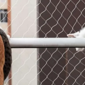 El Instinto Felino en Altura Curiosidades y Tips para Proteger a tu Gato