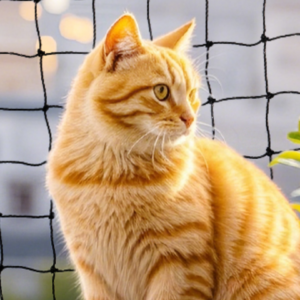 ¿Qué tan seguro es tu balcón Haz la prueba y protege a tus hijos y mascotas