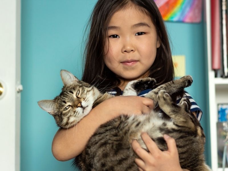 Por qué las mallas de seguridad son la mejor protección