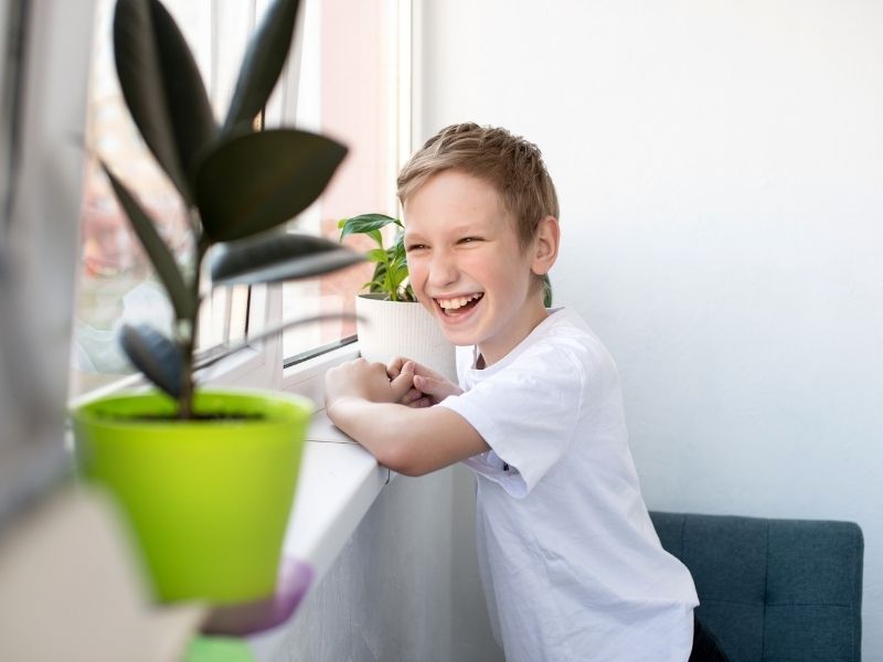 Por qué las mallas son más seguras que las rejas para proteger a los niños