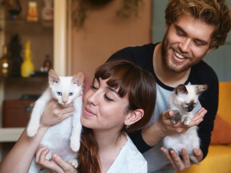 Por qué invertir en seguridad es un acto de amor hacia tu familia y mascotas