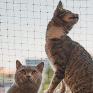 ¿Cuánto peso puede resistir una malla de seguridad si un niño se apoya en ella? Mallas Atrappa