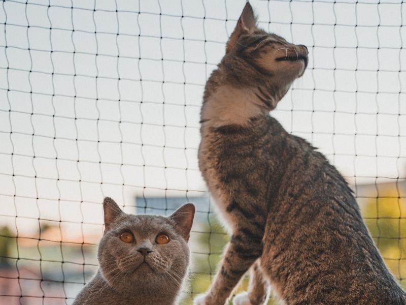 ¿Cuánto peso puede resistir una malla de seguridad si un niño se apoya en ella? Mallas Atrappa